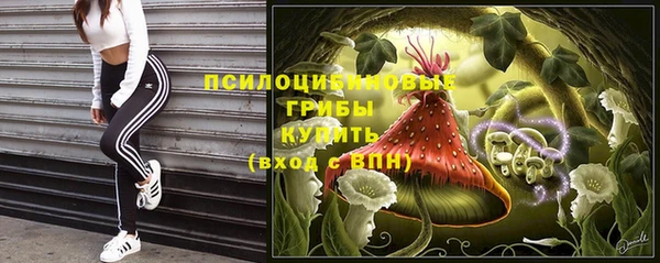 бошки Баксан