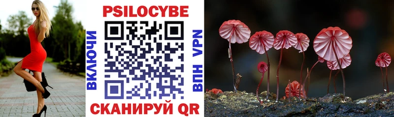 Галлюциногенные грибы GOLDEN TEACHER  где продают наркотики  Валуйки 